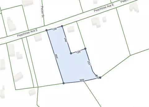 1249 E Peachtree Ave, Union Point, GA 30669