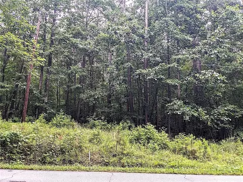 392 Old Griffin Rd, Hampton, GA 30228 photo 8