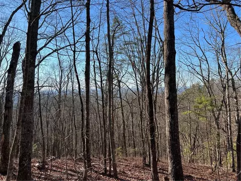 197 Stirratt Rd, Ranger, GA 30734