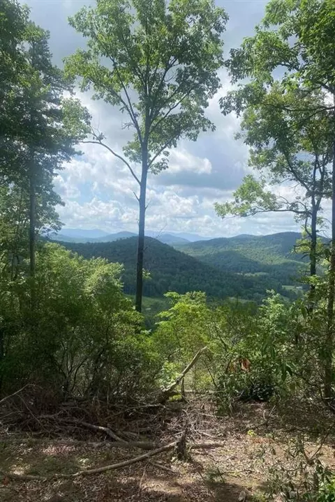 2 Oasis Ln, Blue Ridge, GA 30513
