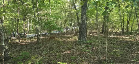 00001 Outback Rd, Talking Rock, GA 30175 photo 9