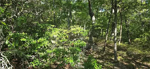 00001 Outback Rd, Talking Rock, GA 30175 photo 11