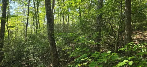 00001 Outback Rd, Talking Rock, GA 30175 photo 14