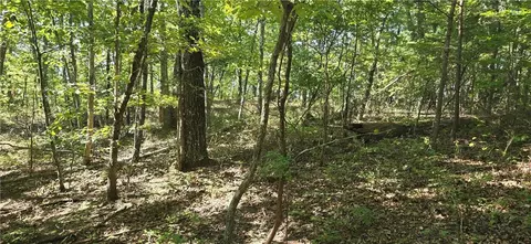 00001 Outback Rd, Talking Rock, GA 30175 photo 4
