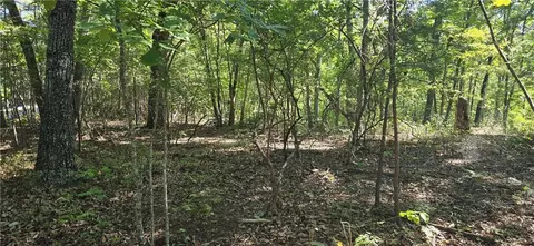 00001 Outback Rd, Talking Rock, GA 30175 photo 8