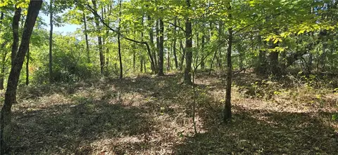 00001 Outback Rd, Talking Rock, GA 30175 photo 6