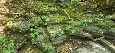 00001 Outback Rd, Talking Rock, GA 30175 photo 20