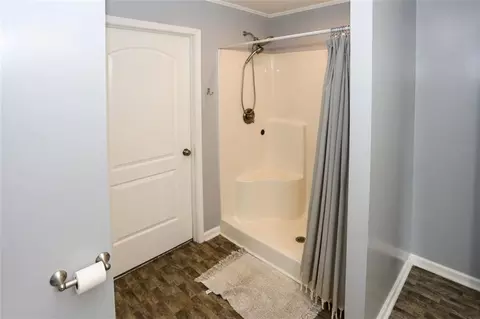 Bath - 207 Van Wert St, Buchanan, GA 30113 photo 4 of 5