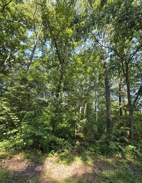 34-37 County Road 249, Leesburg, AL 35983