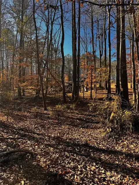 300 Speight Rd, Temple, GA 30179 photo 11