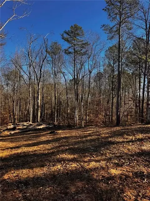 300 Speight Rd, Temple, GA 30179 photo 9
