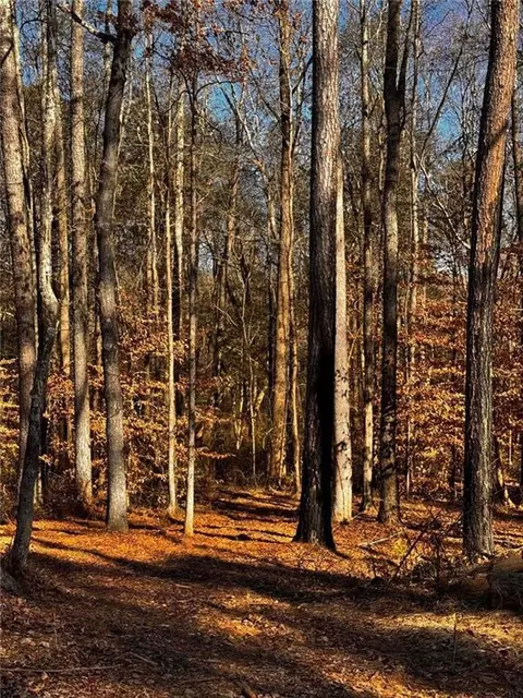 300 Speight Rd, Temple, GA 30179 photo 7