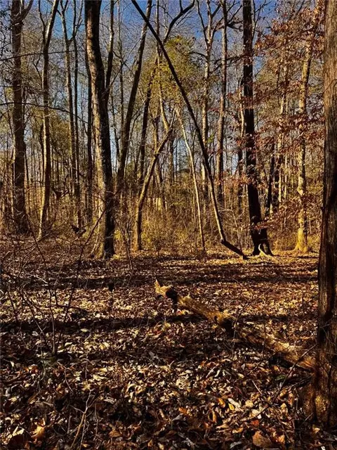 300 Speight Rd, Temple, GA 30179 photo 8