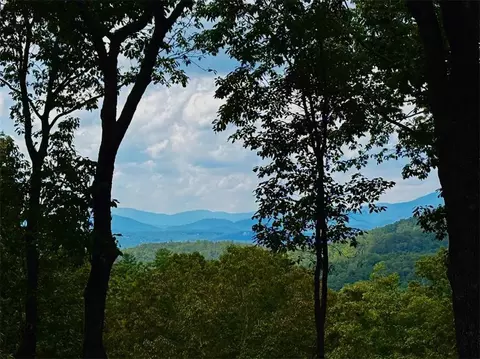 133 Pine Ridge Rd, Ellijay, GA 30540