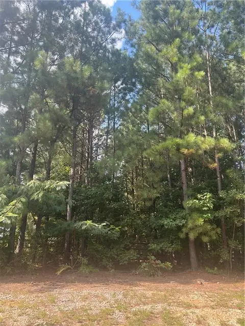 3545 Brookview Dr, Loganville, GA 30052