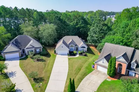 View/Area - 408 Big Leaf Walk, Mcdonough, GA 30253 photo 1 of 6