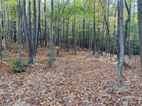 451 Lone Bear Path, Dallas, GA 30132