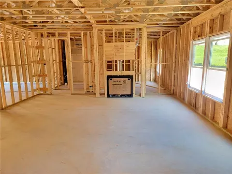 335 Silverleaf Trl, Bethlehem, GA 30620 photo 9