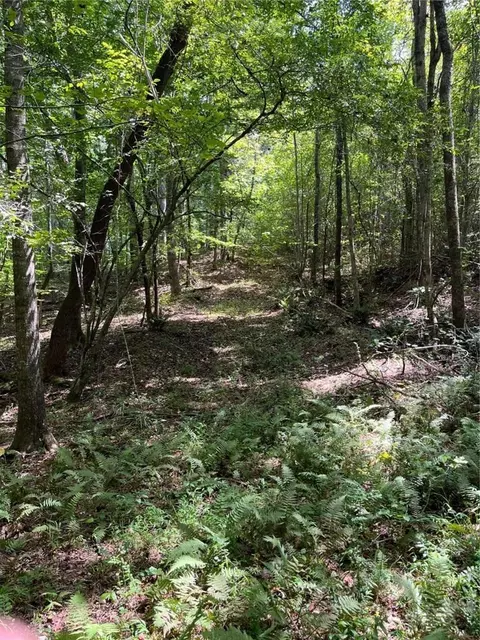 0 Ga Highway 120, Tallapoosa, GA 30176