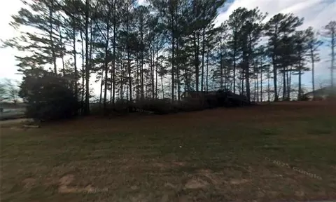 0 Panhandle Rd, Hampton, GA 30228 photo 2