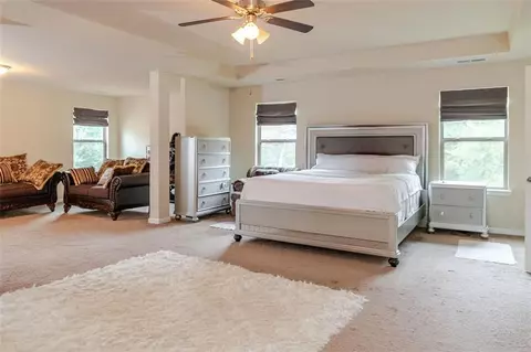 574 Caledon Way, Hampton, GA 30228 photo 19