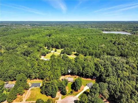 View/Area - 210 Steele Branch Ct, Hampton, GA 30228 photo 3 of 3