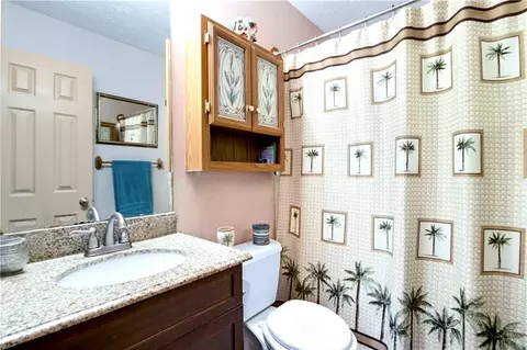 Bath - 210 Steele Branch Ct, Hampton, GA 30228 photo 1 of 2