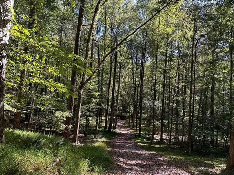 0 Rowe Rd, Milton, GA 30004 photo 27