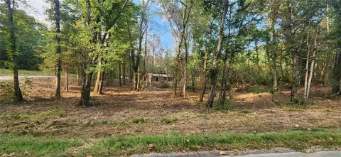 252 Beatrice Ct, Ranger, GA 30734