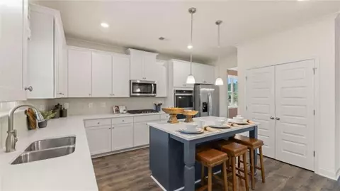 687 Edgar St, Hampton, GA 30228 photo 18