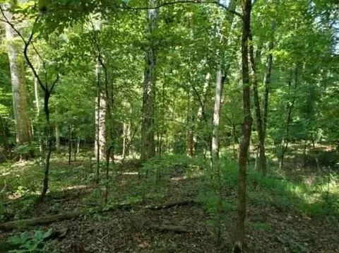 0 Goolsby Rd, Monticello, GA 31064
