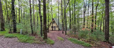 3 Mountain Lake Dr, Blue Ridge, GA 30513