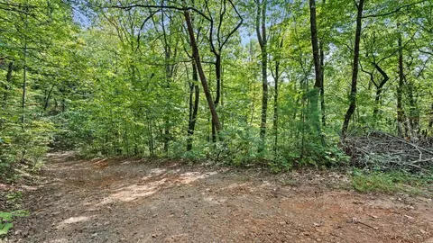 23 Bc Double Knob Rd, Cherry Log, GA 30522