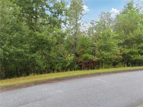 0 St Augustine Ct, Demorest, GA 30535 photo 4