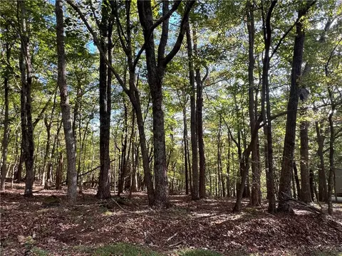 402 S View Trl, Jasper, GA 30143