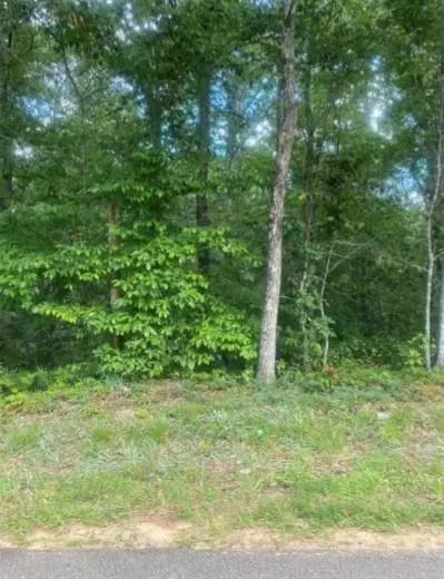 4943 Old Orr Rd, Flowery Branch, GA 30542
