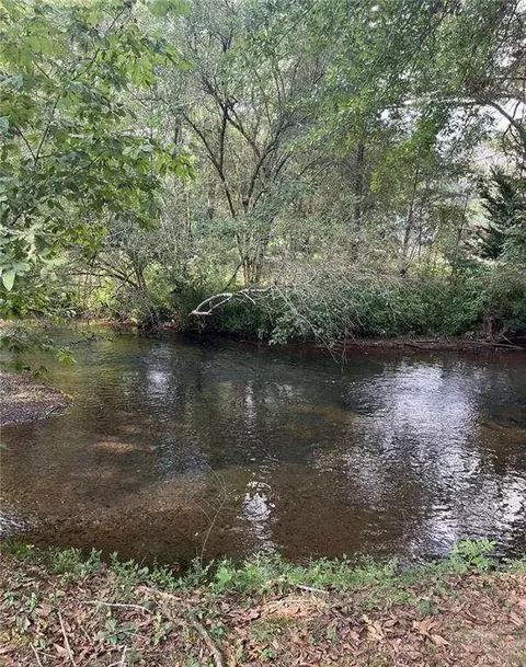 1012 Park St, Cave Spring, GA 30124 photo 3