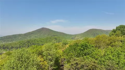 4428 Bee Tree Ridge Dr, Jasper, GA 30143