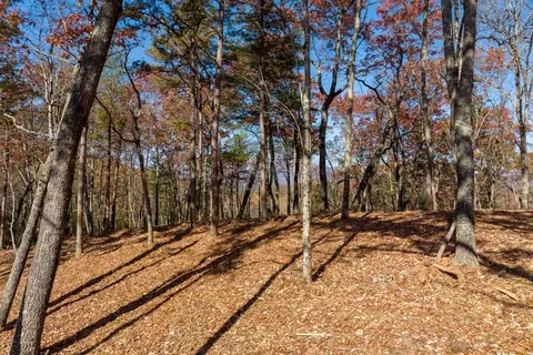 lot39 Preserve Trl, Ellijay, GA 30536