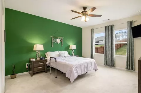 197 Trail Winds Dr, Bethlehem, GA 30620 photo 17