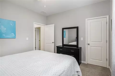 197 Trail Winds Dr, Bethlehem, GA 30620 photo 21
