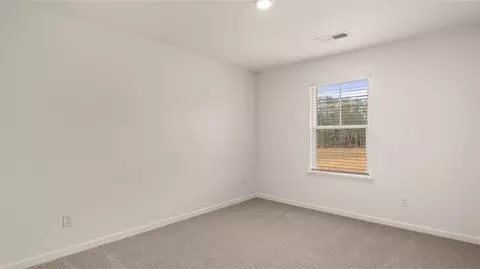 1743 Goodwin St, Hampton, GA 30228 photo 22