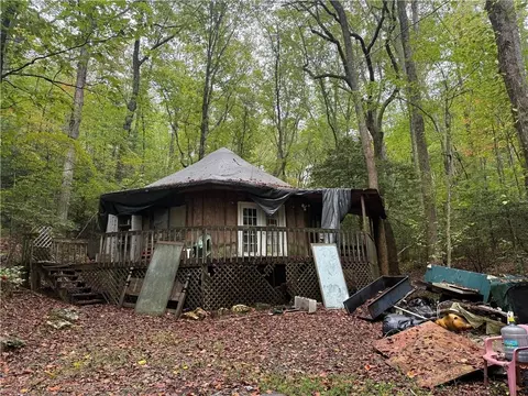193 Big Bear Ln, Ellijay, GA 30536