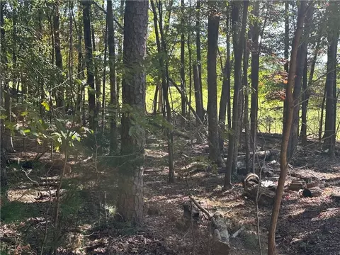 Lt1351 Willow Terrace, Jasper, GA 30143