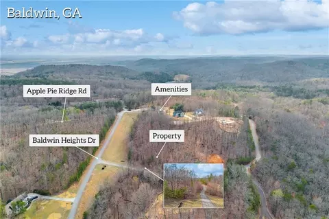 01 Planters Pointe Dr, Baldwin, GA 30511 photo 10