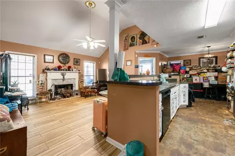 11045 Knotty Pine Pl, Hampton, GA 30228 photo 5