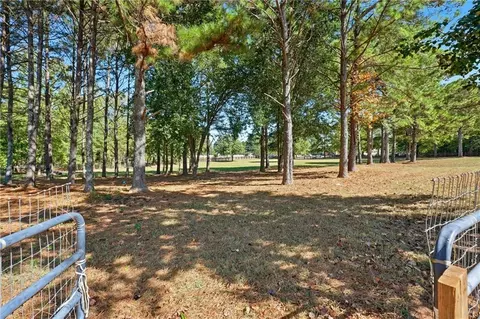 100 Marshas Vineyard, Hampton, GA 30228 photo 56