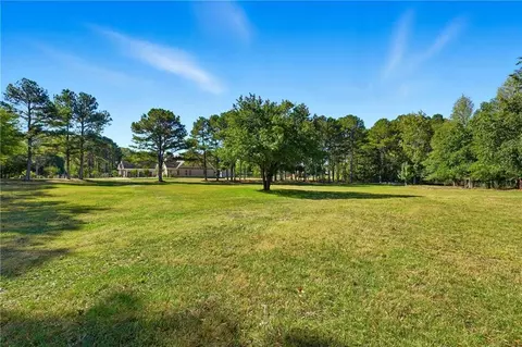 100 Marshas Vineyard, Hampton, GA 30228 photo 58
