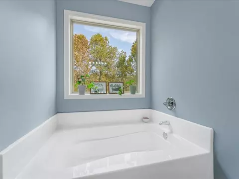 Bath - 163 Brookside Dr, Lula, GA 30554 photo 3 of 5