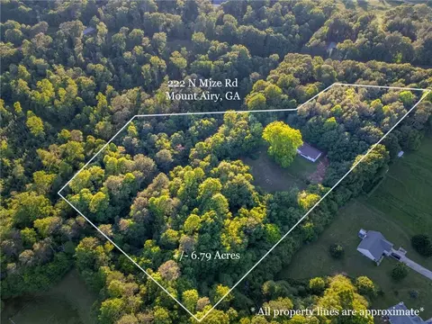 222 N Mize Rd, Mount Airy, GA 30563